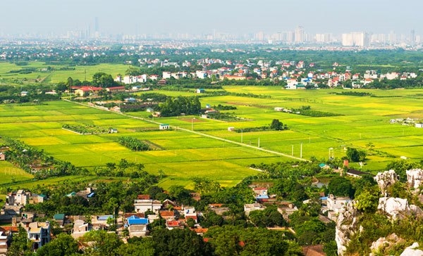 HCM City: Agricultural Production Value 5 Times Higher than National Average