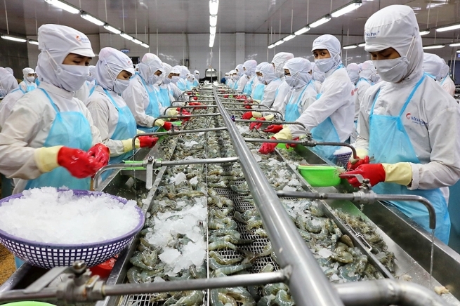 Minh Phu Seafood Corp: Leading Light in Sustainable Shrimp Ecosystem Development