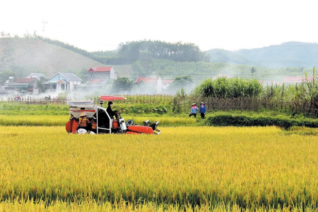 Enhancing the Value of Bac Giang Agricultural Products