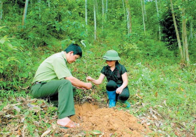 Hai Phong Logistics Association Pioneer in Creating Carbon Credits