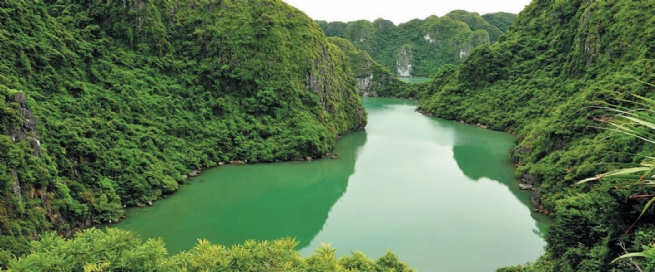 Efforts to Protect  and Enhance the “Green Pearl of Cat Ba”