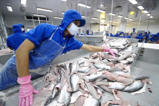 Vietnam’s Pangasius Exports to Main Markets to Recover in H2 2024